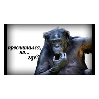 😀 emoji За 5$ Мне СОСИ СОСИ Сделаешь? Telegram sticker 9 of 41