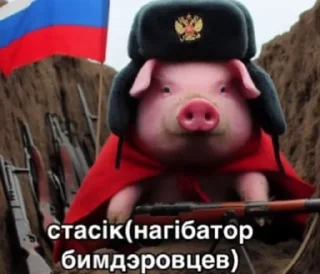 🌟 emoji Сигмо стiкери для Добрi коло Telegram sticker 22 of 120
