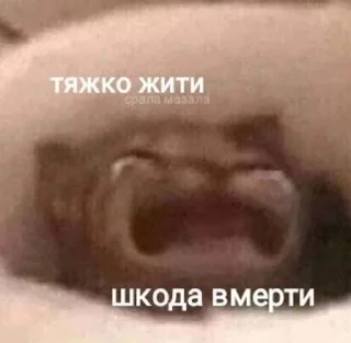 🥲 emoji Від Максіка Telegram sticker 5 of 102