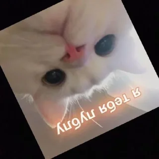 🌟 emoji Данькс Telegram sticker 12 of 85