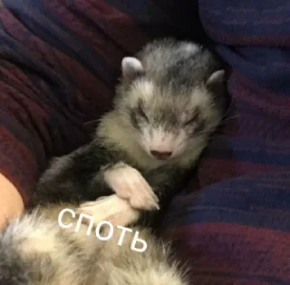 🥱 emoji Хорячьи шлепки Telegram sticker 23 of 93
