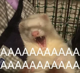 😫 emoji Хорячьи шлепки Telegram sticker 11 of 93