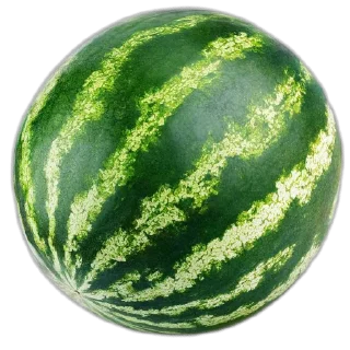 🍉 emoji я писька? Telegram sticker 5 of 45