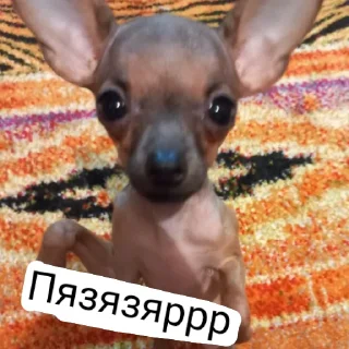 💗 emoji Бебрик Юми Telegram sticker 7 of 26