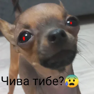 Sticker from Бебрик Юми