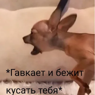 💗 emoji Бебрик Юми Telegram sticker 6 of 26