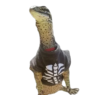 💀 emoji Ящерки Telegram sticker 13 of 16