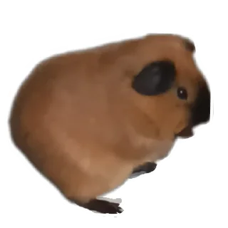 🐶 emoji Крутышки Telegram sticker 7 of 60