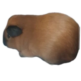 Sticker from Крутышки