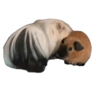 Sticker from Крутышки