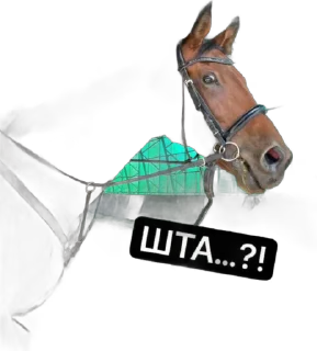 Sticker from Liza&horses