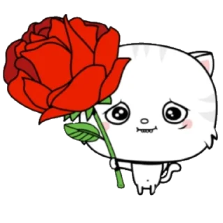 🌹 emoji Котёнок туффио Telegram sticker 8 of 13