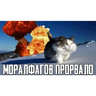 😾 emoji постирония для гениев Telegram sticker 18 of 38