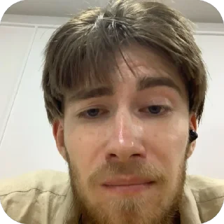 🫥 emoji гусев Telegram sticker 23 of 33