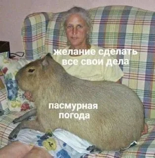 😬 emoji Смешно Telegram sticker 23 of 29