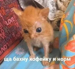 Sticker from Смешно