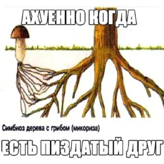 🥰 emoji Грибы спорят🤯 Telegram sticker 23 of 45