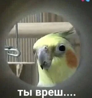 😇 emoji стикерс от соньки Telegram sticker 21 of 43