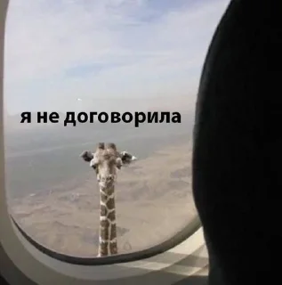 😇 emoji стикерс от соньки Telegram sticker 5 of 43
