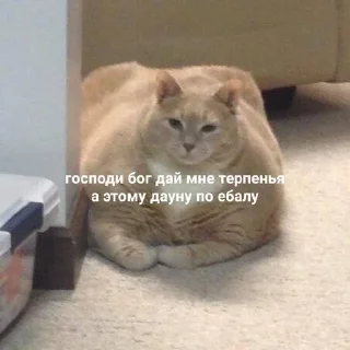😇 emoji стикерс от соньки Telegram sticker 7 of 43