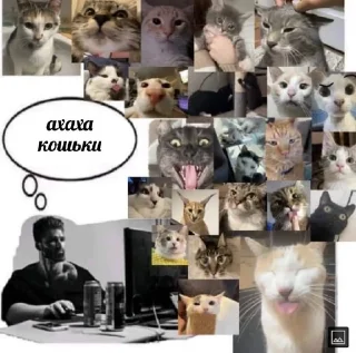 😺 emoji хочу сдохнуть Telegram sticker 7 of 69