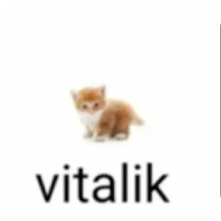 🐱 emoji Ебанутые картинки by @Mirolyubivyy Telegram sticker 21 of 120