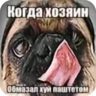 🖼 emoji Ебанутые картинки by @Mirolyubivyy Telegram sticker 12 of 120