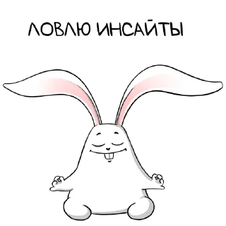 Sticker from белый кролик