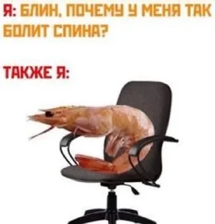 🦐 emoji Творим, чё Telegram sticker 13 of 30