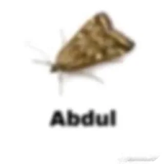 👍 emoji Вши Telegram sticker 5 of 39