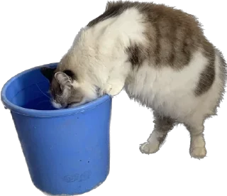 🌟 emoji Для Маси Telegram sticker 13 of 76