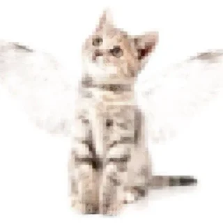 🌟 emoji прерванная жизнь Telegram sticker 7 of 35