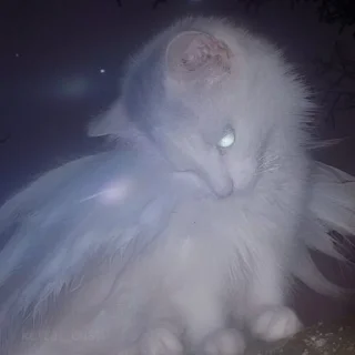 🌟 emoji прерванная жизнь Telegram sticker 24 of 35