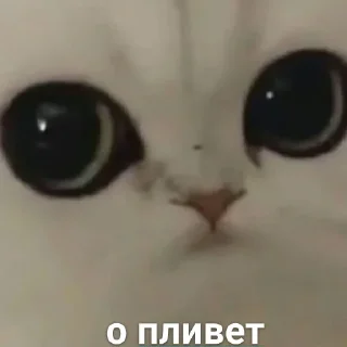 Можлочок Потiк sticker preview 4