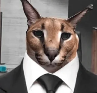 👔 emoji Шлепа Telegram sticker 10 of 20