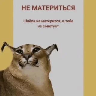 ⛔️ emoji Шлепа Telegram sticker 13 of 20