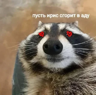 Sticker from енотеки брадочки😎