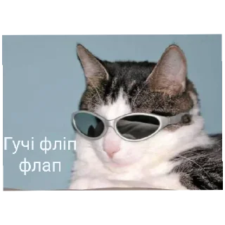 😄 emoji А шо тут? А нішо Telegram sticker 14 of 40