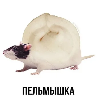 Sticker from Животное