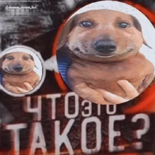 Sticker from Серёга