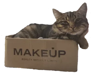 📦 emoji КОТЕК Маркус Telegram sticker 19 of 22