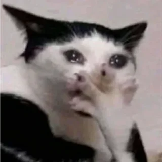 😭 emoji Передрузья какиета Telegram sticker 2 of 120