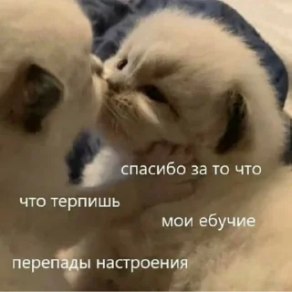 ❤ emoji Передрузья какиета Telegram sticker 24 of 120
