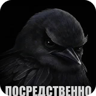 👍 emoji Врядли Telegram sticker 10 of 27