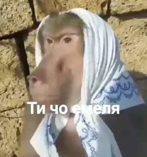 Sticker from Брадочки 1 ➡️ @EmojiRuBot