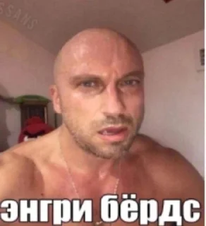 Sticker from мемасики богов