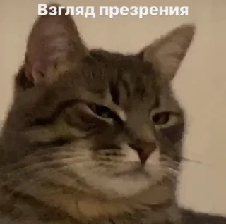 💞 emoji Пикчи 3 Telegram sticker 24 of 120