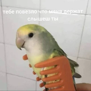 💞 emoji Пикчи 3 Telegram sticker 15 of 120