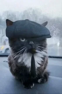 🚬 emoji чмоня и коты для деда Telegram sticker 8 of 16