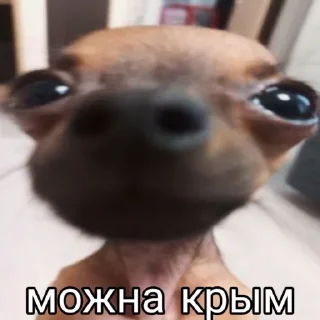💗 emoji Бебрик Юми Telegram sticker 15 of 26